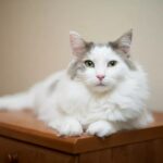 ഓണക്കോടിക്ക് ഏത് മൂഡ് ഖാദി മൂഡ്; നേടാം 25 ലക്ഷം രൂപയുടെ സമ്മാനങ്ങളും.