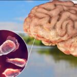 ഡൽഹിയിൽ കെട്ടിടം തകർന്നു വീണു, 3 പേർക്ക് ദാരുണാന്ത്യം