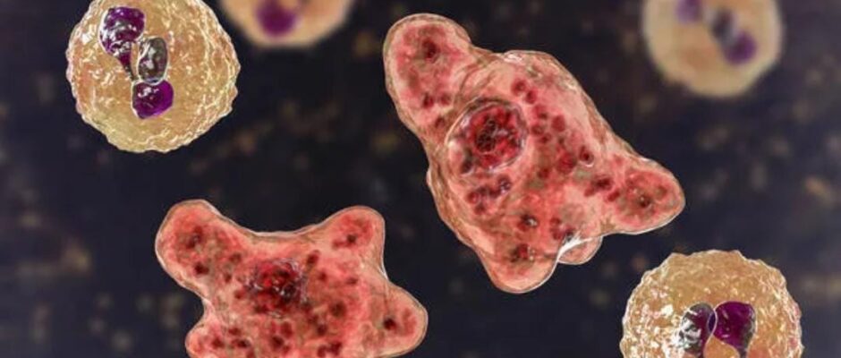 കോഴിക്കോട് ജില്ലയിൽ അമീബിക് മസ്തിഷ്കജ്വര കേസുകൾ വർദ്ധിക്കുന്നു: