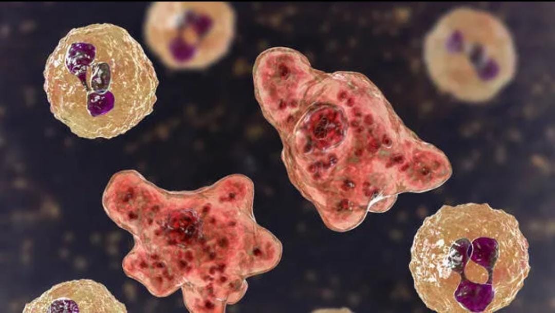 ​കോഴിക്കോട് ജില്ലയിൽ അമീബിക് മസ്തിഷ്കജ്വര കേസുകൾ വർദ്ധിക്കുന്നു: ആരോഗ്യവകുപ്പ് ജാഗ്രതാ നിർദ്ദേശം നൽകി