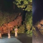 തിരുവനന്തപുരം ജനറൽ ആശുപത്രിയിൽ ശസ്ത്രക്രിയ പിഴവ്; ട്യൂബ് നെഞ്ചിൽ കുടുങ്ങി