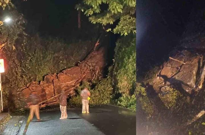 ശക്തമായ മഴ: താമരശ്ശേരി ചുരത്തിൽ മണ്ണിടിച്ചിലും വെള്ളപ്പൊക്കവും