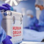 ഇന്ത്യ – പാക് മത്സരം നിരോധിക്കണമെന്ന് ആവശ്യം; സുപ്രീം കോടതിയിൽ ഹർജി നൽകി നിയമ വിദ്യാർത്ഥികൾ