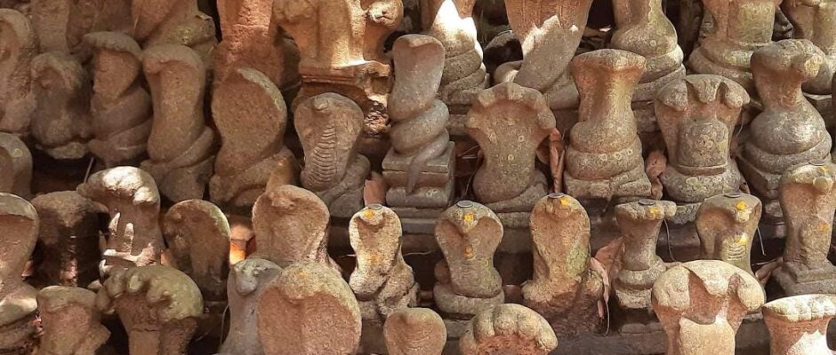 കടലിൽ നിന്ന് കിട്ടിയത് നാഗ വിഗ്രഹങ്ങൾ;