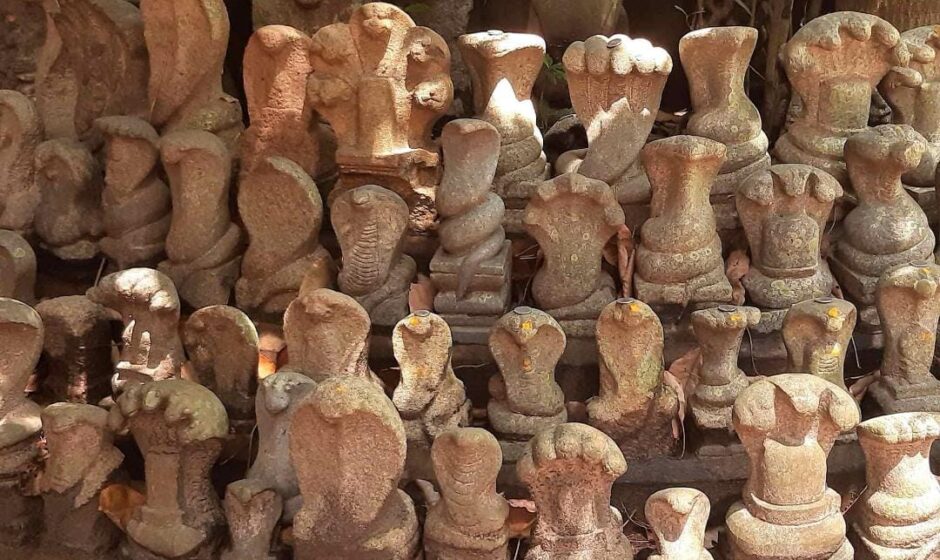 കടലിൽ നിന്ന് കിട്ടിയത് നാഗ വിഗ്രഹങ്ങൾ;