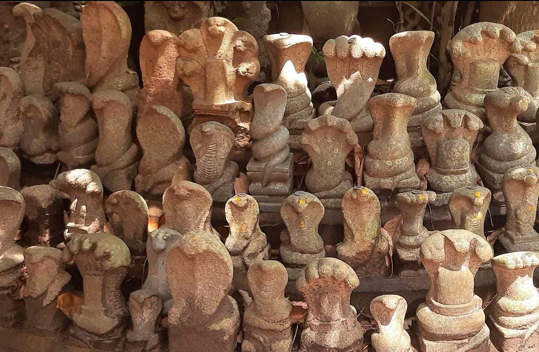 കടലിൽ നിന്ന് കിട്ടിയത് നാഗ വിഗ്രഹങ്ങൾ; അമ്പരന്ന് മത്സ്യത്തൊഴിലാളികൾ