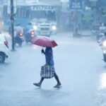 പോലീസ് സ്റ്റേഷനിൽ ഇനി ‘കൃഷിയിടം’; തീറ്റപ്പുൽ കൃഷിക്ക് സ്ഥലം കണ്ടെത്താൻ വിചിത്ര സർക്കുലറുമായി കണ്ണൂർ സിറ്റി പോലീസ്