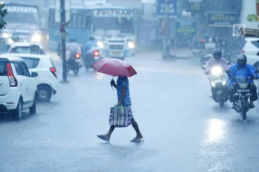 ​സംസ്ഥാനത്ത് മഴ കനക്കുന്നു; എട്ട് ജില്ലകളിൽ യെല്ലോ അലർട്ട്: ശനിയാഴ്ച മുതൽ വടക്കൻ കേരളത്തിലും മഴ ശക്തമാകും