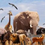 മൂന്ന് വയസ്സുകാരിയെ പുഴയിലെറിഞ്ഞ കേസ്: ചെങ്ങമനാട് പോലീസ് കുറ്റപത്രം നൽകി