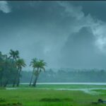 നീതി ഇപ്പോഴും അകലെ: നവീൻ ബാബുവിൻ്റെ കുടുംബം വീണ്ടും കോടതിയിലേക്ക്