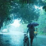 നഷ്ടപ്പെട്ട വിവാഹചിത്രങ്ങൾ തിരികെ നൽകിയ AI പ്രോംപ്റ്റ്: സ്വകാര്യത സുരക്ഷിതമോ?