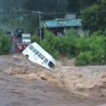 സജിത കൊലക്കേസിൽ വിധി; ചെന്താമരക്ക് ഇരട്ട ജീവപര്യന്തം ശിക്ഷ