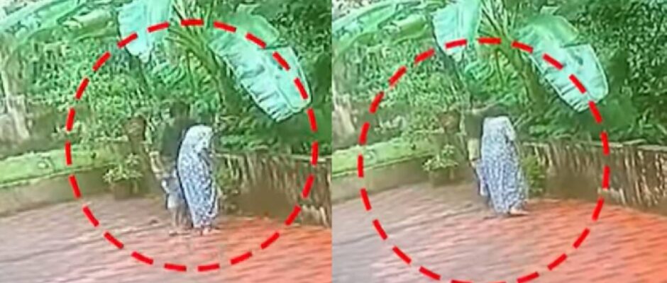 പാമ്പിൻ്റെ പേരിൽ കബളിപ്പിച്ചു;