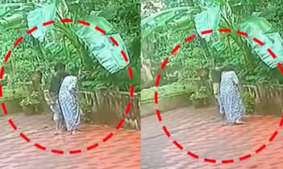 പാമ്പിൻ്റെ പേരിൽ കബളിപ്പിച്ചു;