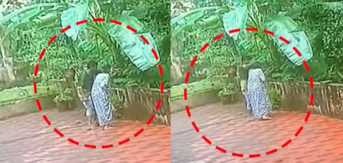 പാമ്പിൻ്റെ പേരിൽ കബളിപ്പിച്ചു: 82-കാരിയുടെ സ്വർണ്ണമാല കവർന്നു, കോതമംഗലത്ത് പകൽ കവർച്ച