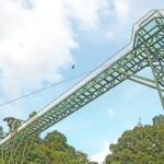 സ്വർണക്കൊള്ളക്കേസ്: മുഖ്യപ്രതി മുരാരി ബാബു പിടിയിൽ