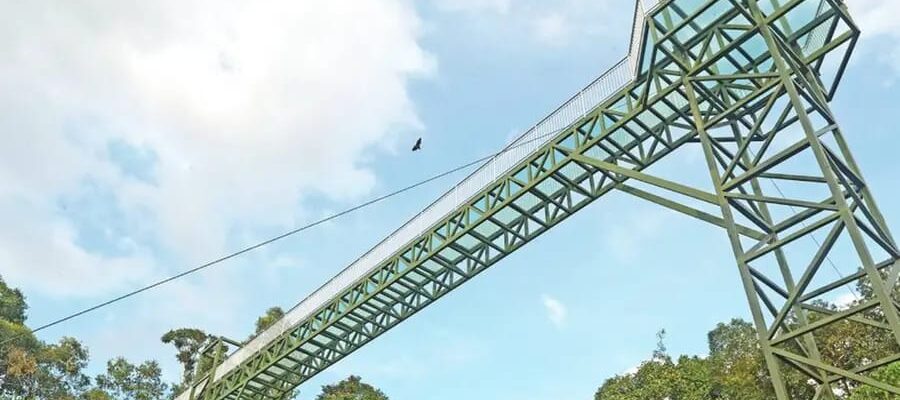 സാഹസികതയുടെ പുതിയ ആകാശം;