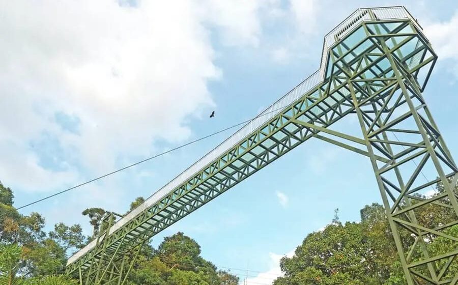 സാഹസികതയുടെ പുതിയ ആകാശം;