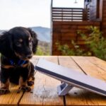 പ്രഭാസിൻ്റെ ‘രാജാസാബ്’: പിറന്നാൾ ദിനത്തിൽ ആകാംഷയുണർത്തി പുതിയ പോസ്റ്റർ