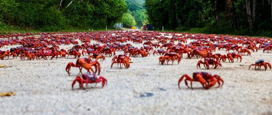 മനോഹരമായ പ്രകൃതി പ്രതിഭാസം;