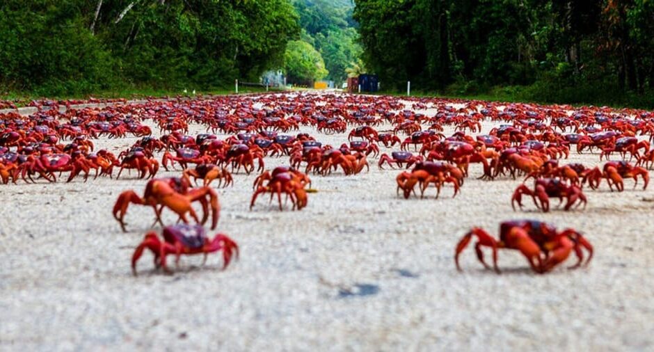മനോഹരമായ പ്രകൃതി പ്രതിഭാസം;