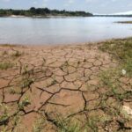 അമലും നിർണവും മാലാഖമാർ: രണ്ടുവയസ്സുകാരിക്ക് പുതുജീവൻ നൽകിയ സാഹസിക രക്ഷാപ്രവർത്തനം