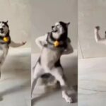 കിരീടപ്പോര്: ഇന്ത്യ – ഓസ്ട്രേലിയ ട്വന്റി 20 പരമ്പരയ്ക്ക് ഇന്ന് തീപ്പൊരി തുടക്കം