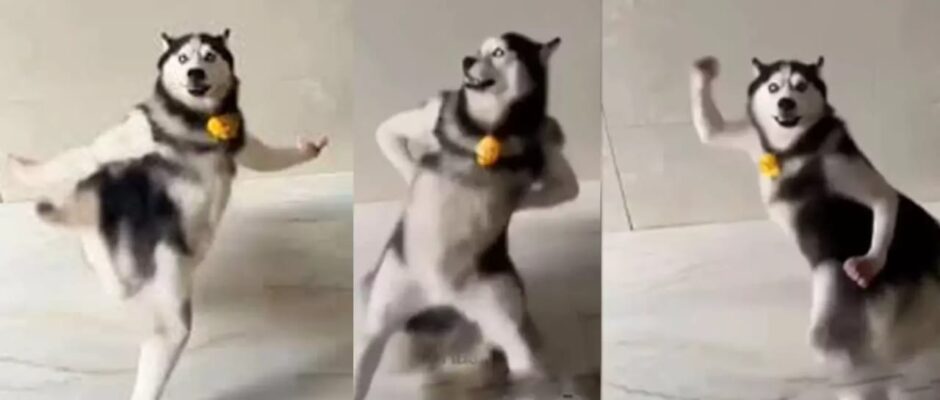 ഹൃദയം കവരുന്ന പ്രകടനം;