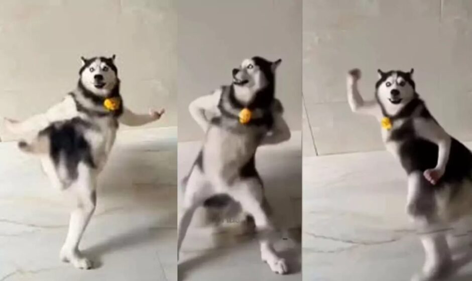 ഹൃദയം കവരുന്ന പ്രകടനം;