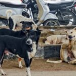 സിനിമാ ലോകത്തെ ഞെട്ടിച്ച് ലഹരിക്കേസ്: സമീർ താഹിർ ഉൾപ്പെടെ മൂന്നുപേർക്കെതിരെ കുറ്റപത്രം