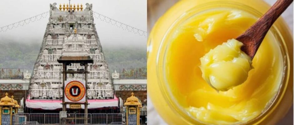 തിരുപ്പതിയിലെ 'നെയ്യ്' കുംഭകോണം;