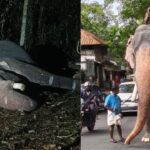 നിങ്ങളുടെ ഇഷ്ടസിനിമ ഏത് പ്ലാറ്റ്‌ഫോമിൽ? എളുപ്പത്തിൽ അറിയാൻ ഇനി ഗൂഗിൾ പ്ലേ സ്റ്റോറിൽ ഒരു വഴി