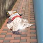 അബദ്ധത്തിൽ മെയിൽ അയച്ചോ? വിഷമിക്കേണ്ട, തിരിച്ചുവിളിക്കാൻ വഴിയുണ്ട്; അറിഞ്ഞിരിക്കേണ്ട പ്രധാന കാര്യം