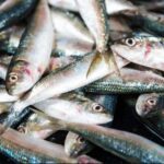 തമിഴ്‌നാട്ടിൽ ദുരിതം വിതച്ച് മഴ: 12 ജില്ലകളിലും പുതുച്ചേരി, കാരയ്ക്കൽ എന്നിവിടങ്ങളിലും വിദ്യാഭ്യാസ സ്ഥാപനങ്ങൾക്ക് അവധി