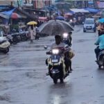 ലോകമെമ്പാടുമുള്ള മത്തി പ്രേമികൾക്കായി ഒരു ദിനം: മത്തി വികാരം ആളിക്കത്തുന്നു