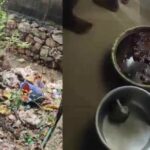 രാഷ്ട്രീയ പ്രവേശന സൂചന നൽകി: റോഡ് ഷോ നടത്താൻ വിജയ് അനുമതി തേടി; പുതുച്ചേരി പൊലീസ് നടപടിക്രമങ്ങൾ ആരംഭിച്ചു