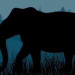 കേശവദാസപുരം മനോരമ കേസ്: പ്രതി കോടതി മുറിയിൽനിന്ന് ഇറങ്ങി ഓടി, പോലീസ് ഓടിച്ചിട്ട് പിടികൂടി