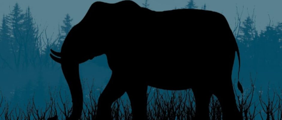 മറയൂർ-ചിന്നാർ റോഡ് ഉപരോധിച്ചു;