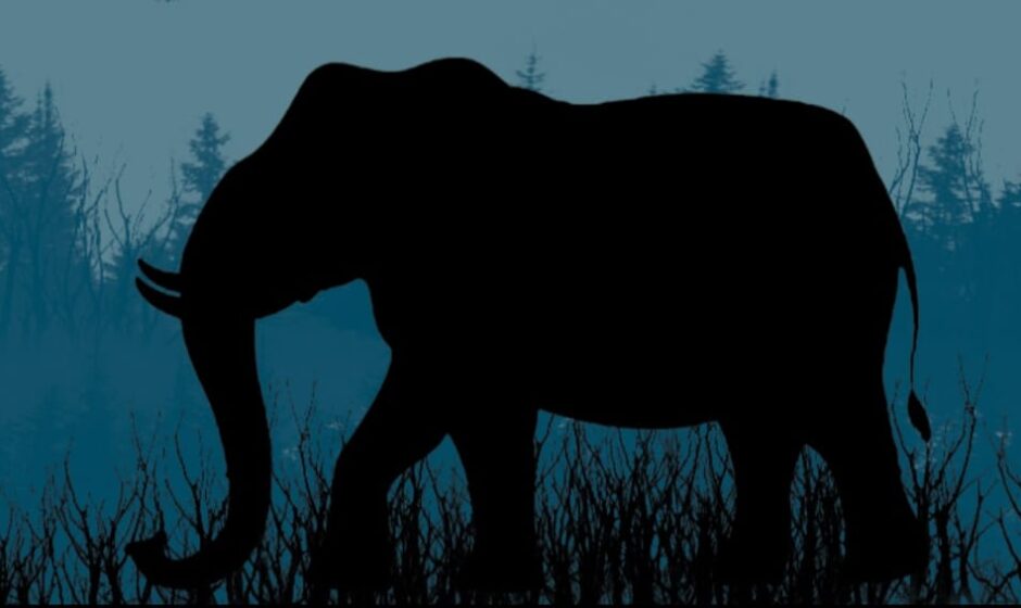 മറയൂർ-ചിന്നാർ റോഡ് ഉപരോധിച്ചു;