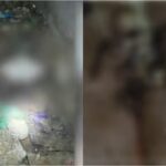 മറയൂർ-ചിന്നാർ റോഡ് ഉപരോധിച്ചു: ഒന്നരക്കൊമ്പൻ യാത്രക്കാർക്ക് ഭീഷണിയായി