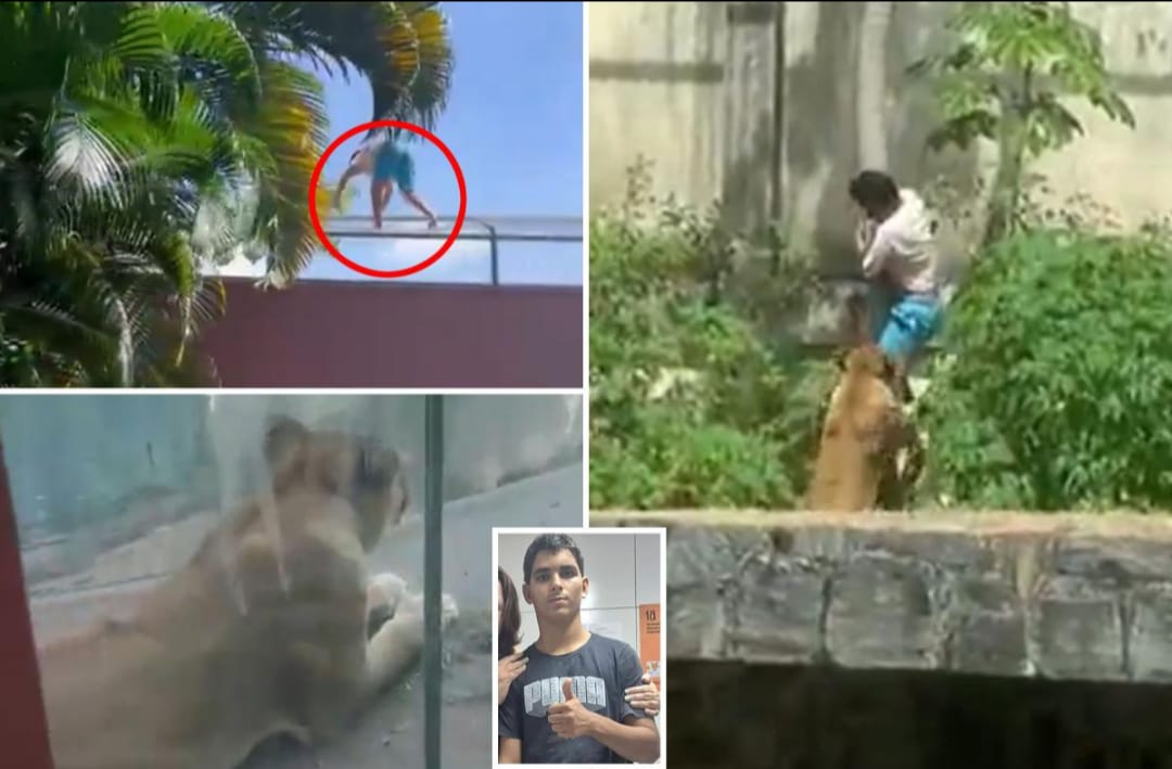 ദാരുണാന്ത്യം: മൃഗശാലയിലെ സിംഹക്കൂട്ടിനുള്ളിൽ ചാടിയ കൗമാരക്കാരനെ സിംഹം കടിച്ചു കൊന്നു.