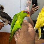 സ്വത്ത് പിന്തുടർച്ചയ്ക്ക് ആസൂത്രണം അനിവാര്യം; പലർക്കും നഷ്ടമാകുന്നത് ലക്ഷങ്ങളും കോടികളും, സഹായിക്കാൻ ‘ട്രൂ ലെഗസി’