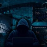 ലക്ഷങ്ങൾ വിലമതിക്കുന്ന പക്ഷിക്കടത്ത്: നെടുമ്പാശ്ശേരി വിമാനത്താവളത്തിൽ 11 വിദേശപ്പക്ഷികളുമായി മൂന്നംഗ കുടുംബം പിടിയിൽ