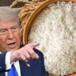 മലയാറ്റൂരിലെ ദുരന്തം: ചിത്രപ്രിയയുടെ കൊലപാതകം, ആൺസുഹൃത്ത് അലൻ അറസ്റ്റിൽ