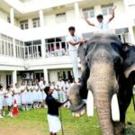 പോറ്റിയെ കേറ്റിയേ’ പാരഡി വിവാദം: ഗാനം നീക്കം ചെയ്യാൻ മെറ്റയ്ക്ക് കത്ത്; കടുത്ത നടപടികൾ ഉടനുണ്ടാകില്ല