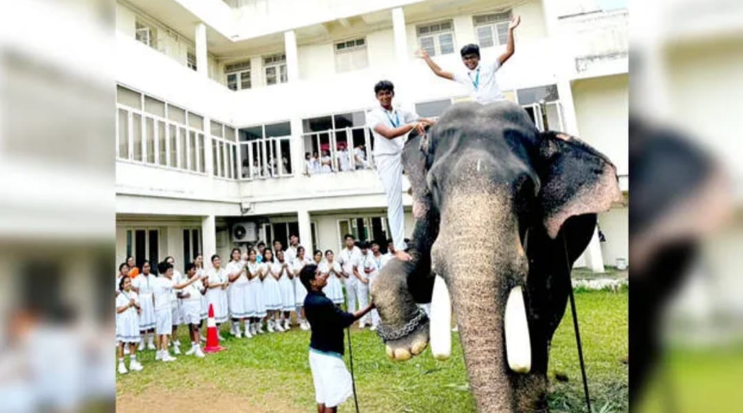 ​പെറ്റ് ഷോയിൽ ഞെട്ടിച്ച് ‘കൊമ്പൻ’; സ്കൂളിലെ വളർത്തുമൃഗങ്ങളുടെ പ്രദർശനത്തിൽ ആനയും അതിഥിയായി
