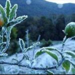 ആയുഷ് ഉൽപന്നങ്ങൾക്ക് ഗുണമേന്മ ഉറപ്പാക്കാൻ ‘ആയുഷ് മാർക്ക്’; ഉദ്ഘാടനം ഇന്ന് പ്രധാനമന്ത്രി നിർവഹിക്കും