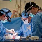 ​ക്രിസ്മസ് സമ്മാനവുമായി സർക്കാർ; സപ്ലൈകോയിൽ വൻ വിലക്കുറവ്