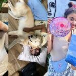 BMW ബൈക്കുകൾക്ക് വില കൂടും; വർധന ആറ് ശതമാനം വരെ.