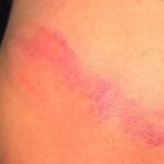 മൂന്നാമൂഴത്തിനായി പിണറായി; എൽ.ഡി.എഫിനെ ‘ക്യാപ്റ്റൻ’ നയിക്കും